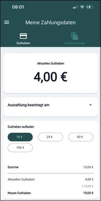 1 Zahlungsdaten